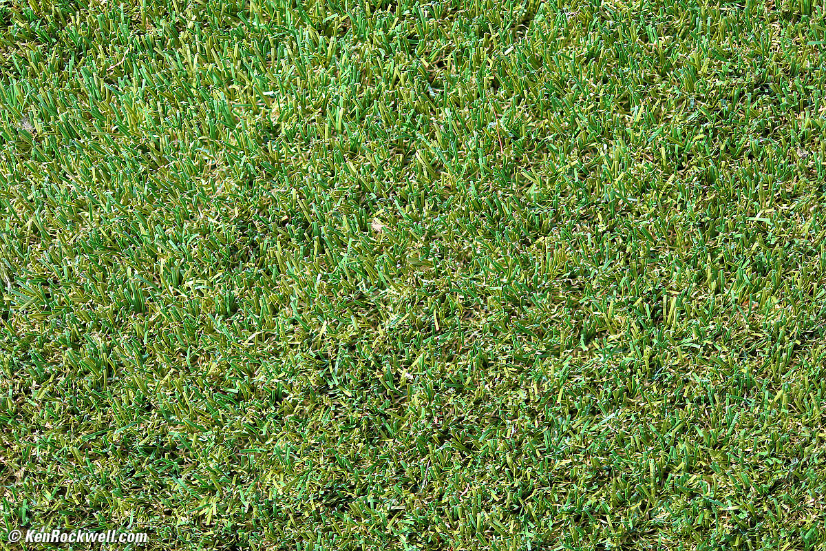 Canon 85 1.4 Sharpness