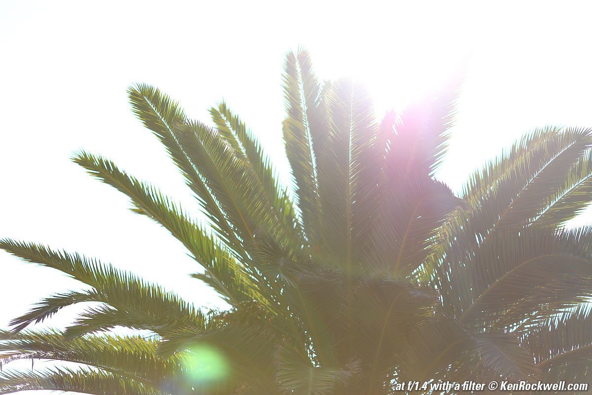 Canon 85mm f/1.4 Ghosts