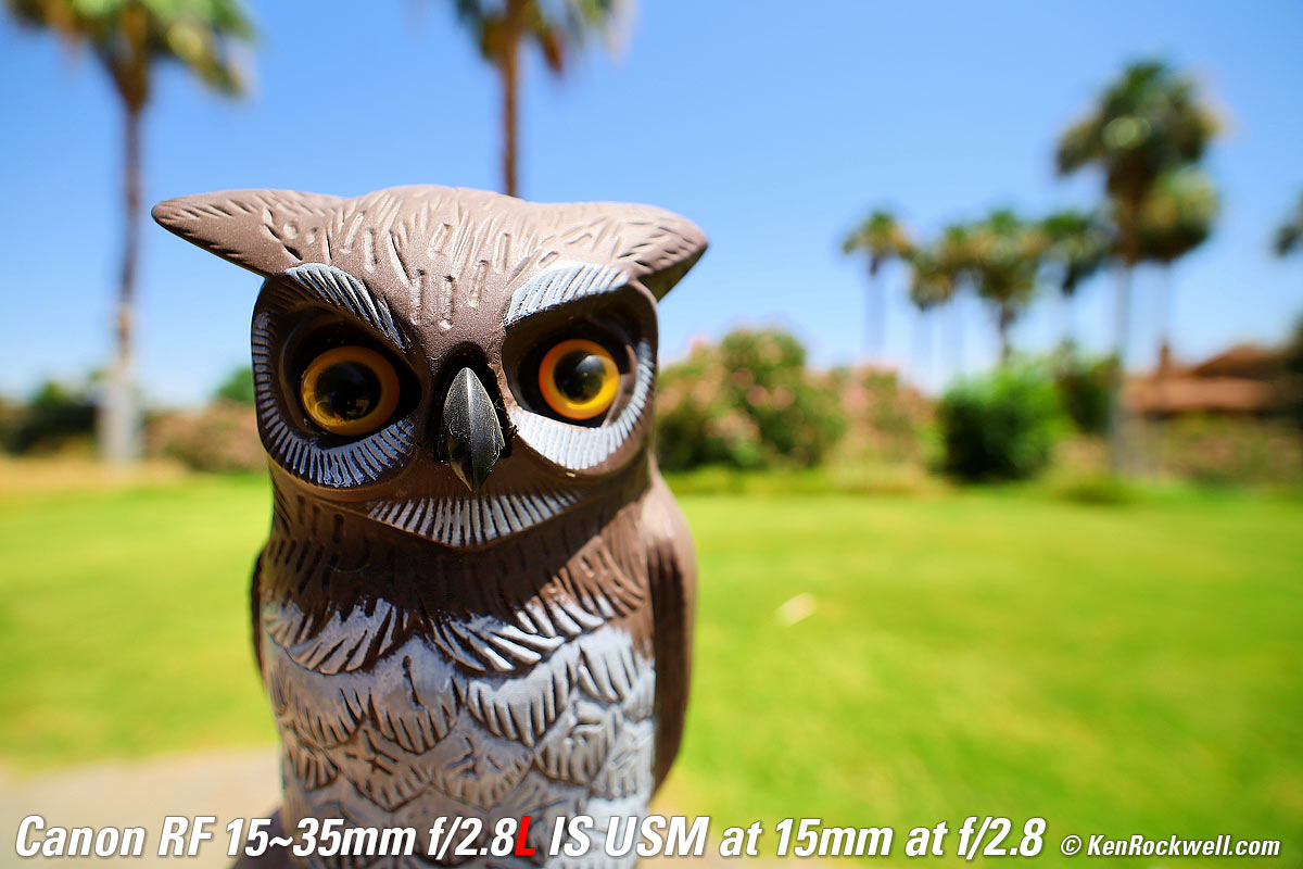 Canon RF 15-35mm f/2.8 Bokeh