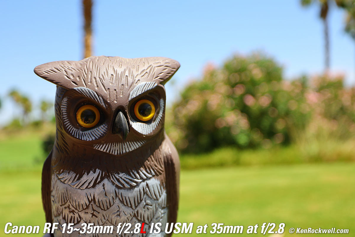 Canon RF 15-35mm f/2.8 Bokeh