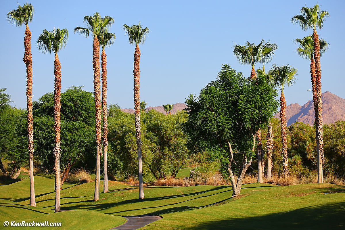 Canon RF 24-240mm Sample Image File