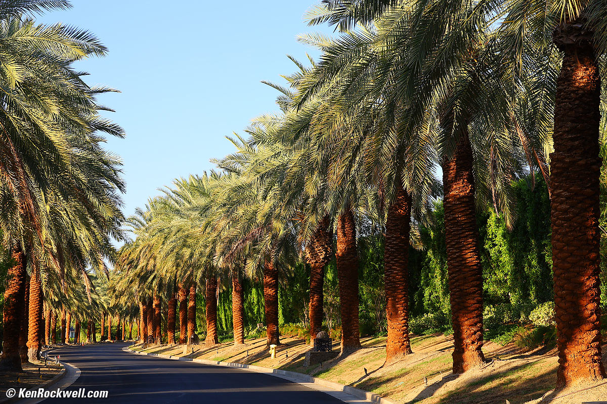 Canon RF 24-240mm Sample Image File