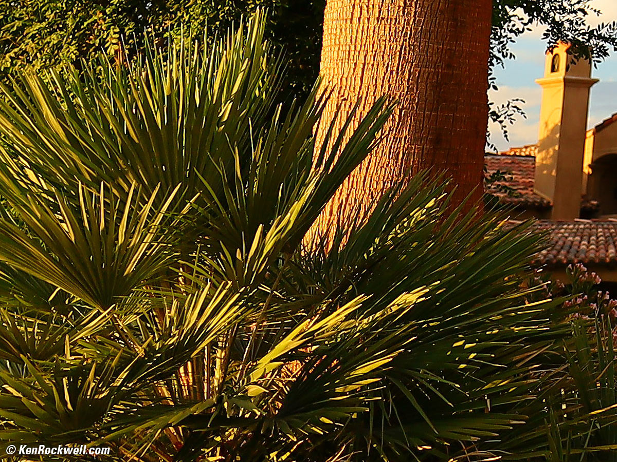 Canon RF 15-35mm Sample Image File