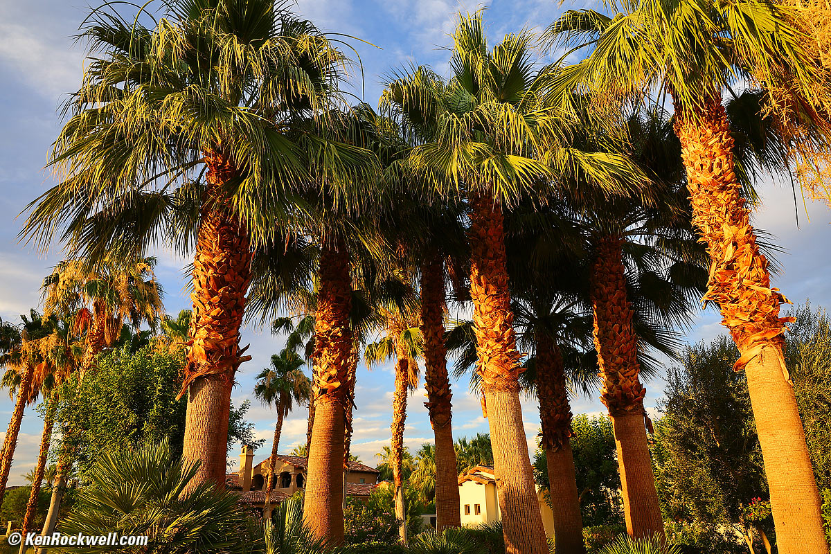 Canon RF 24-70mm f/2.8 L Sample Image File