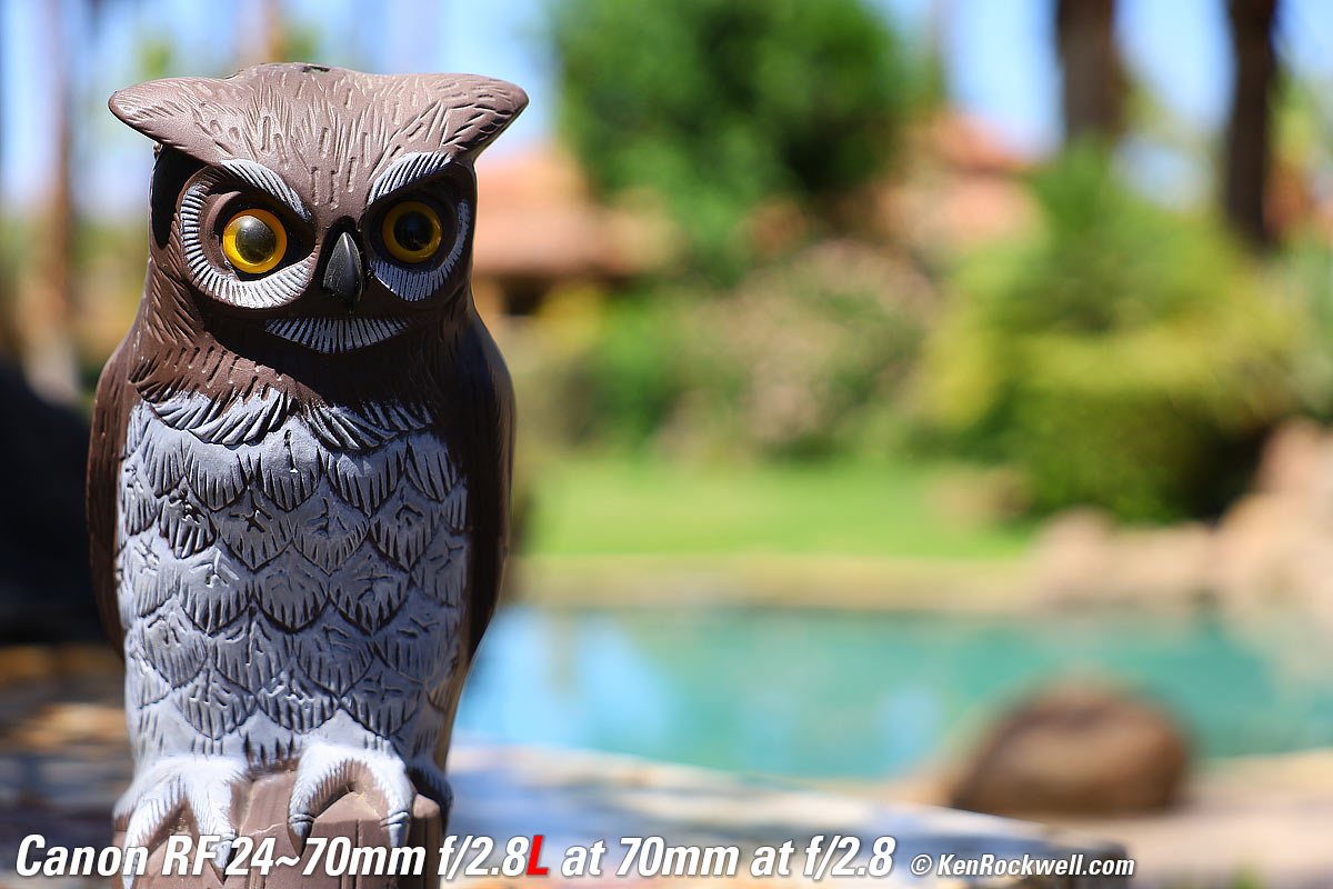 Canon RF 24-70mm f/2.8 L Bokeh