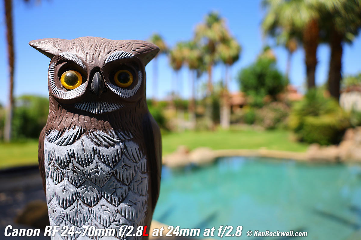 Canon RF 24-70mm f/2.8 L Bokeh