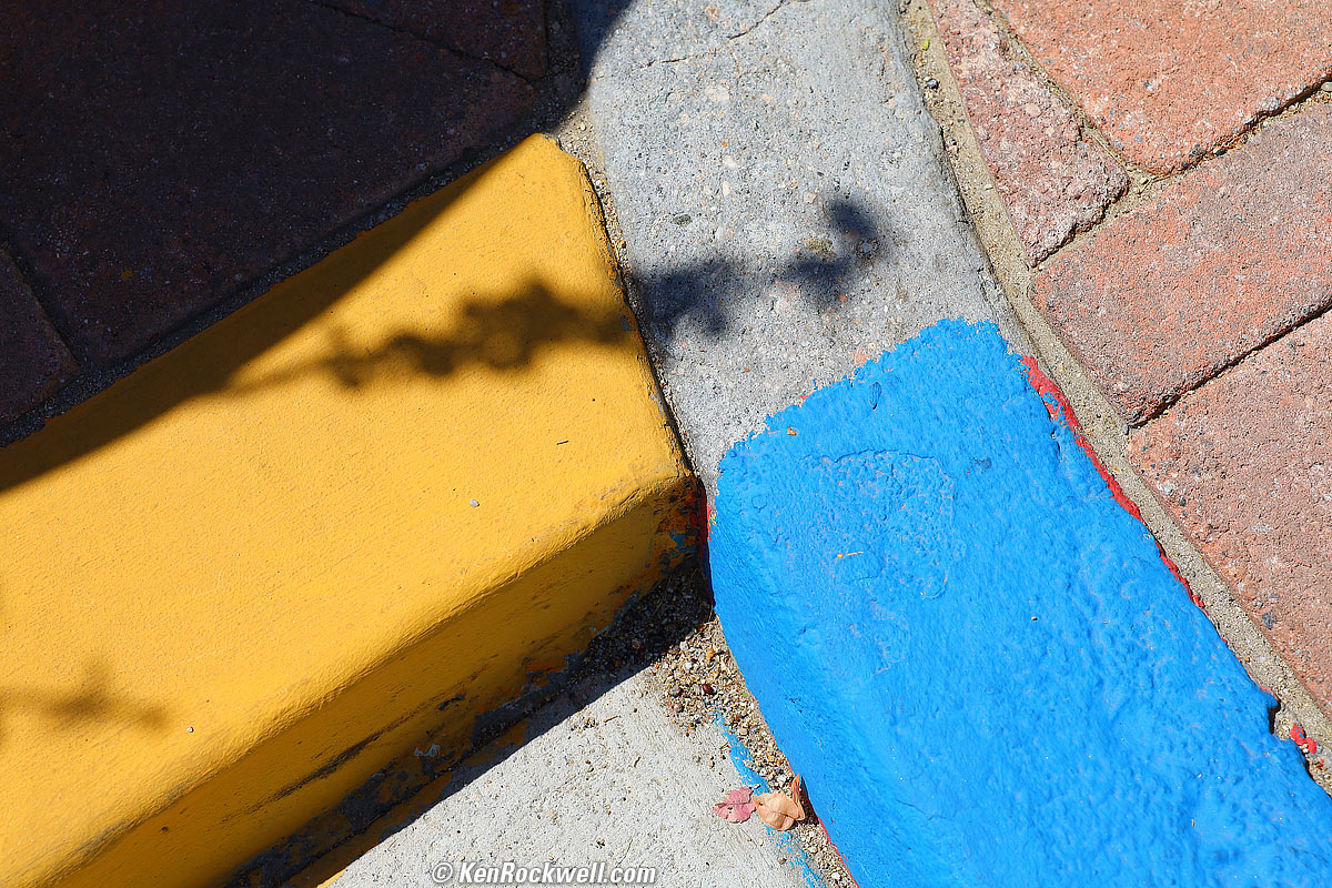 Canon RF 24-70mm f/2.8 L Sample Image File