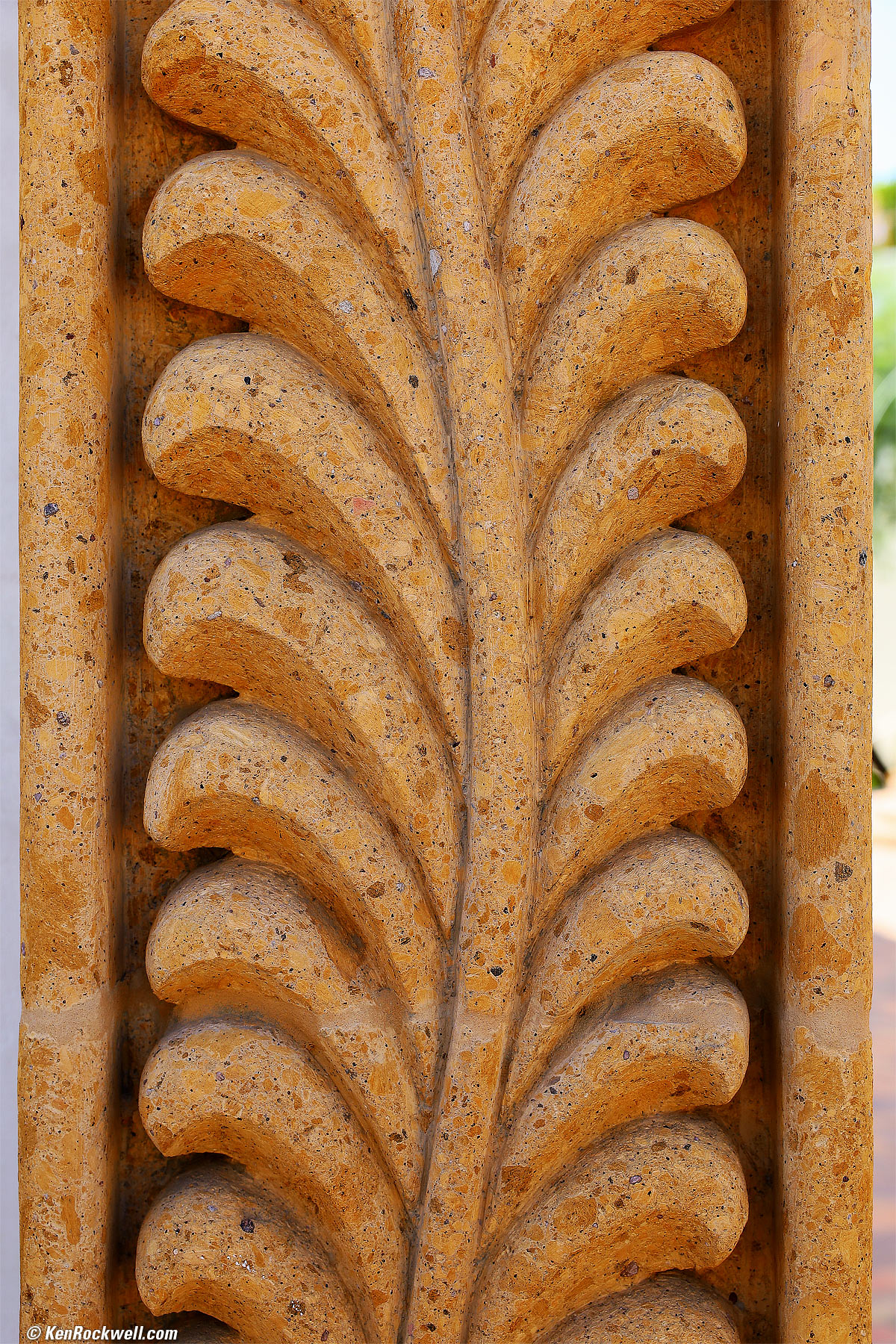 Canon RF 24-70mm f/2.8 L Sample Image File