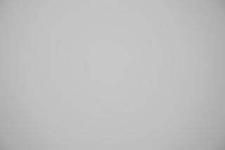 Canon RF 28-70 f/2 falloff