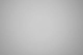 Canon RF 35mm f/1.8 Macro falloff