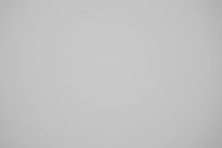 Canon RF 35mm f/1.8 Macro falloff