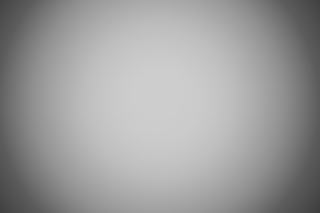 Canon RF 35mm f/1.8 Macro falloff