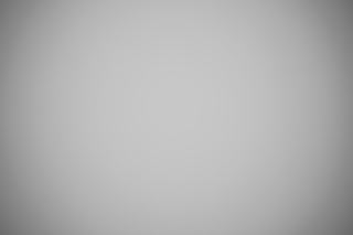 Canon RF 35mm f/1.8 Macro falloff