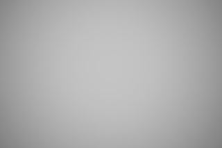 Canon RF 35mm f/1.8 Macro falloff