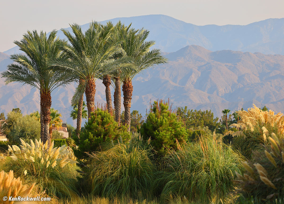 Canon RF 70-200mm f/2.8 Sample Image File