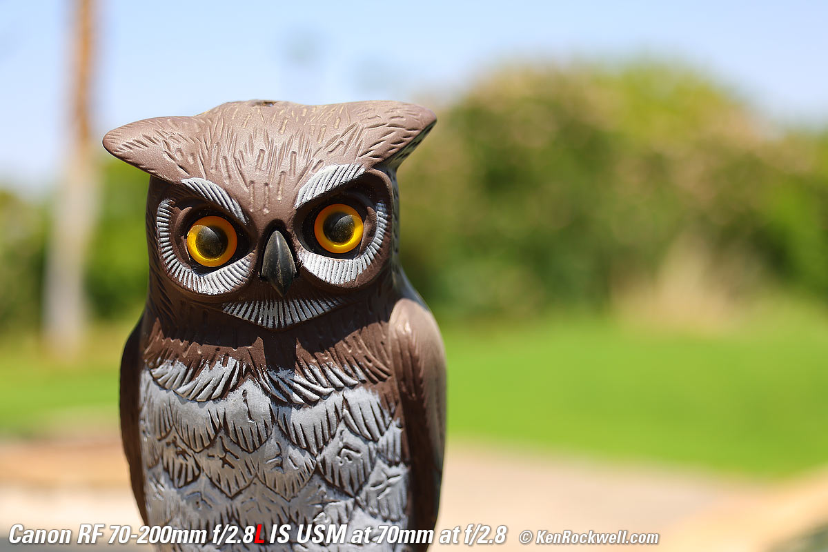 Canon RF 70-200mm f/2.8 Bokeh Sample Image File