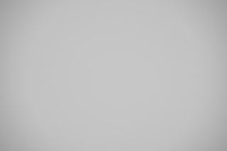 Canon RF 70-200mm f/2.8 falloff