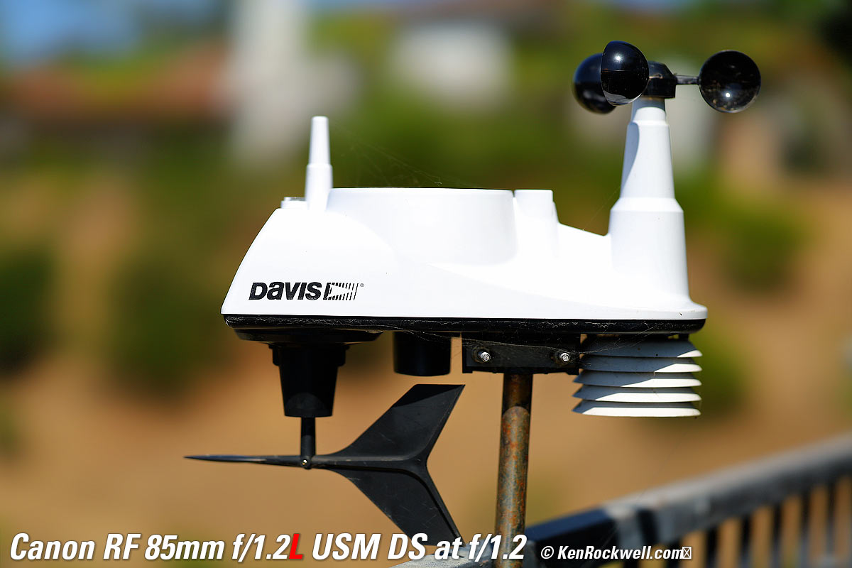 Canon RF 85mm f/1.2 DS Bokeh