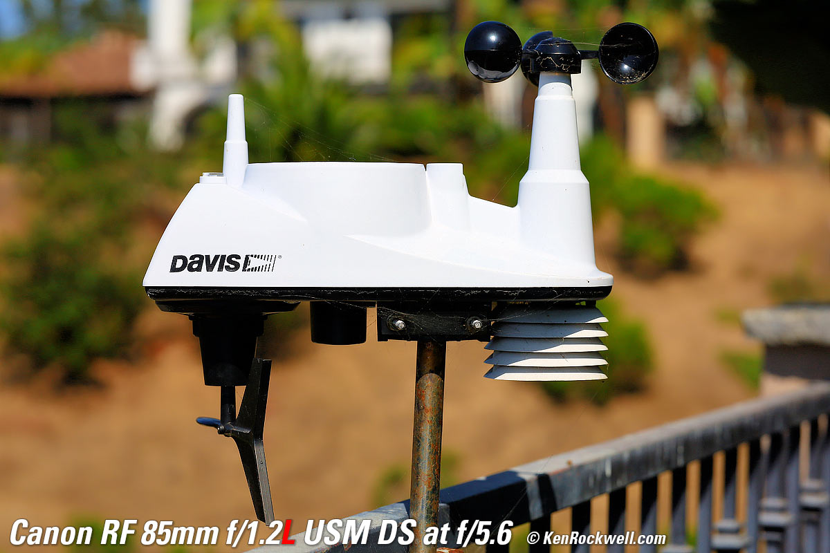 Canon RF 85mm f/1.2 DS Bokeh