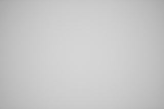 Canon RF 85mm f/1.2 DS falloff