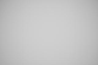 Canon RF 85mm f/1.2 DS falloff