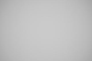 Canon RF 85mm f/1.2 DS falloff