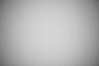 Canon RF 85mm f/1.2 DS falloff