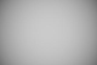 Canon RF 85mm f/1.2 DS falloff