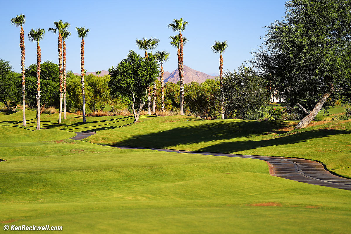 Canon EOS R5 Sample Image File