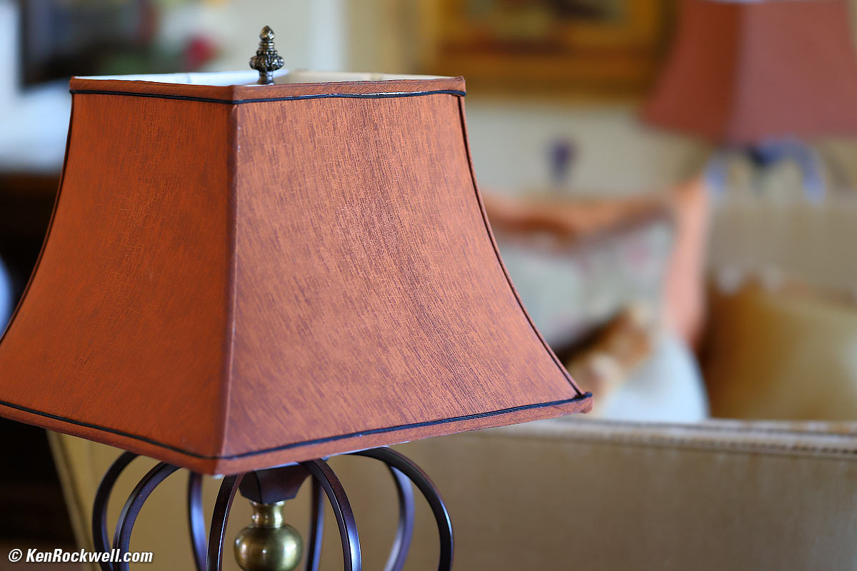 Canon RF 85 1.2 DS Bokeh