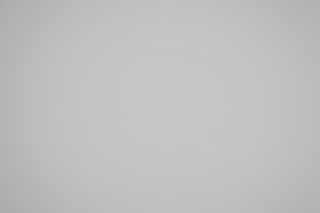 Canon RF 85mm f/1.2 DS falloff