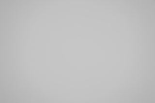 Canon RF 85mm f/1.2 DS falloff