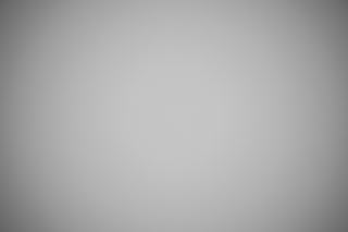 Canon RF 85mm f/1.2 DS falloff