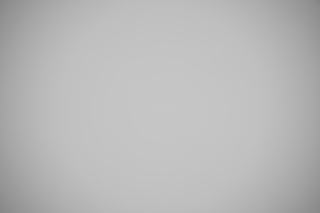 Canon RF 85mm f/1.2 DS falloff