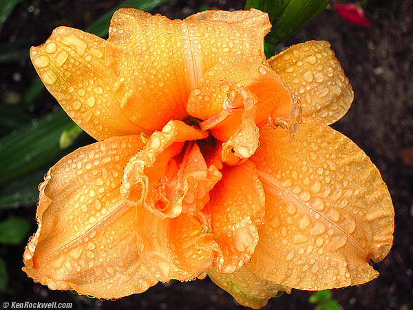 Virginia Creek Inn, 04 October 2010