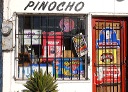 pinocho750