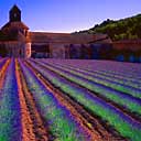 Abbaye Senanque