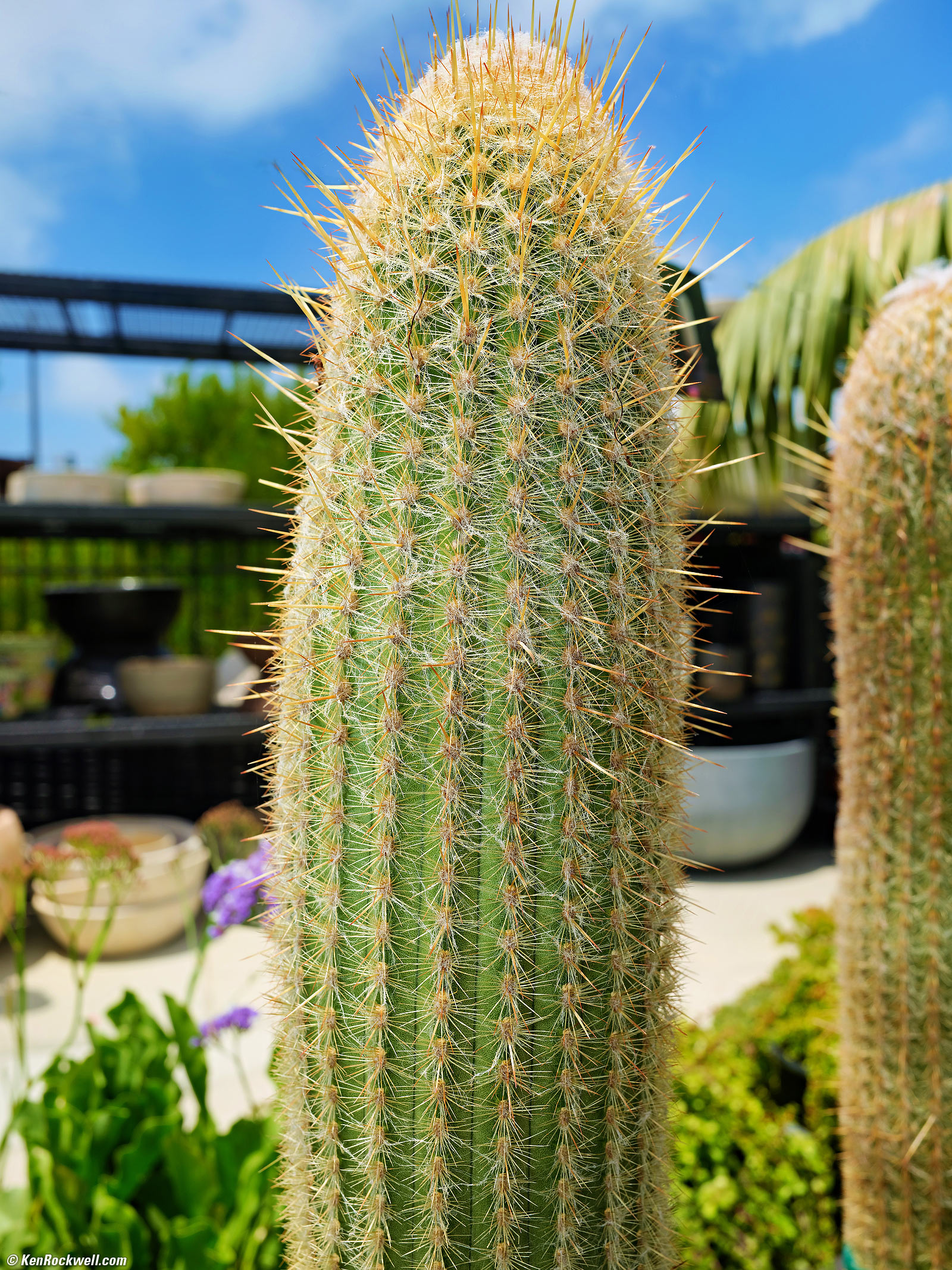 Fujifilm GFX100RF Sample Image File by Ken Rockwell