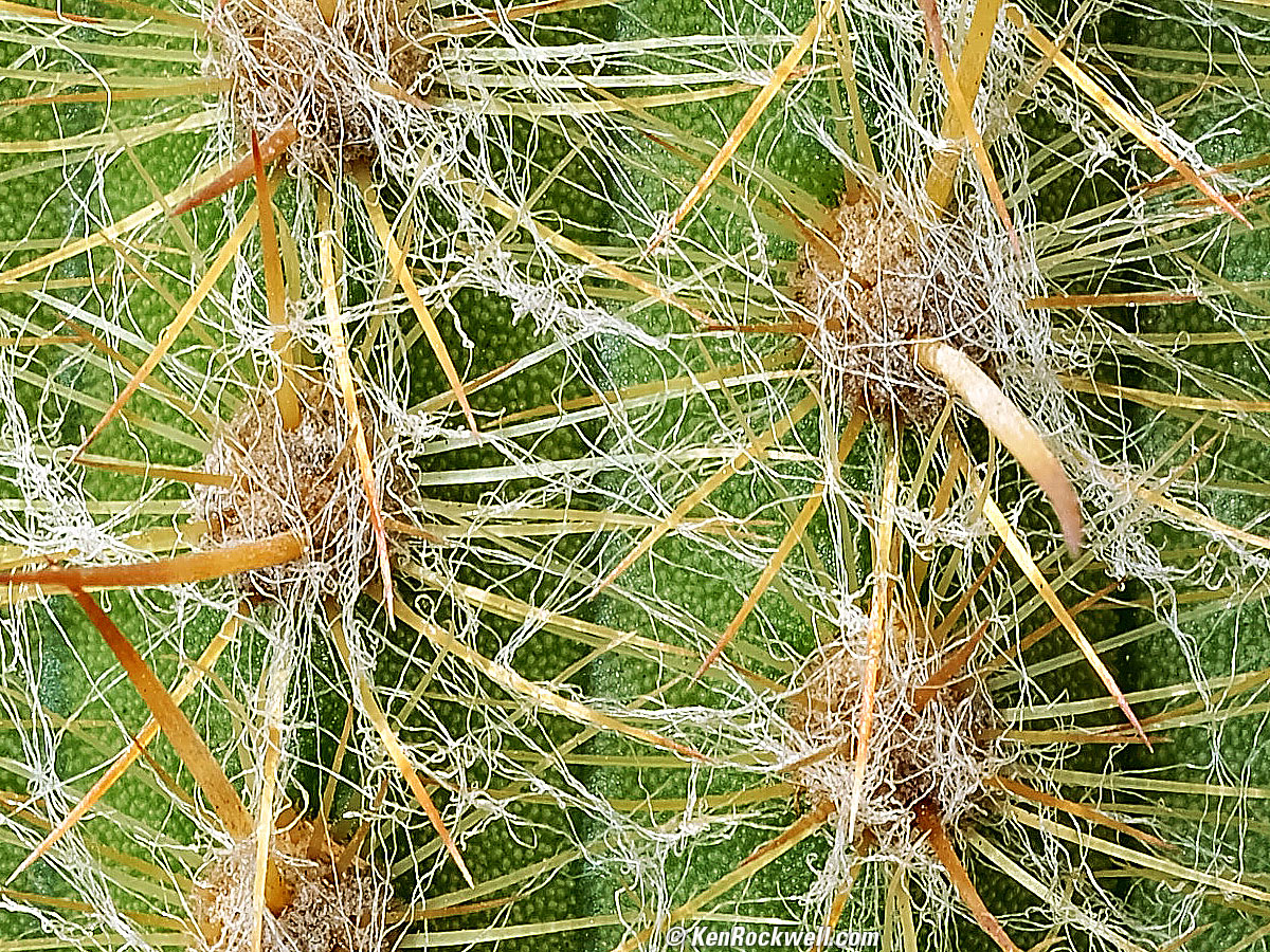 Fujifilm GFX100RF Sample Image File by Ken Rockwell