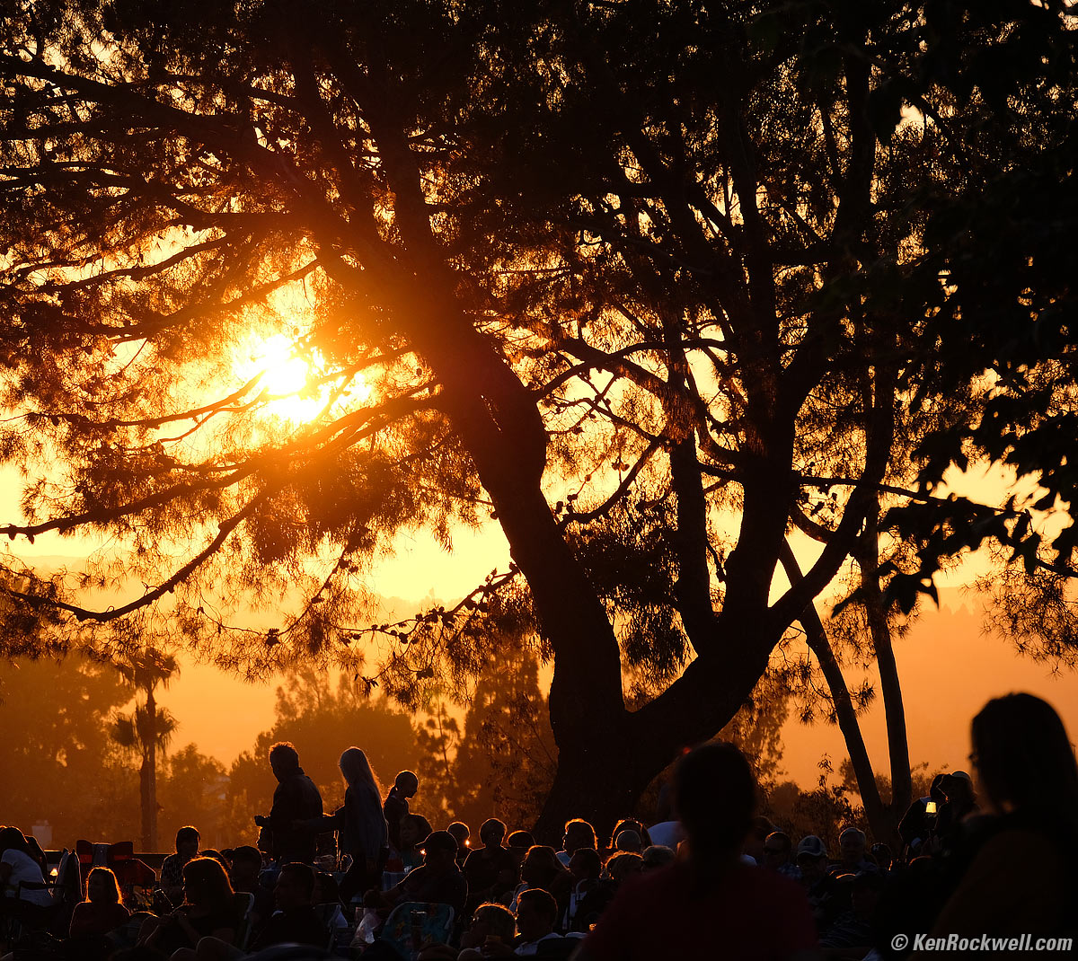 Friday night concert at the park