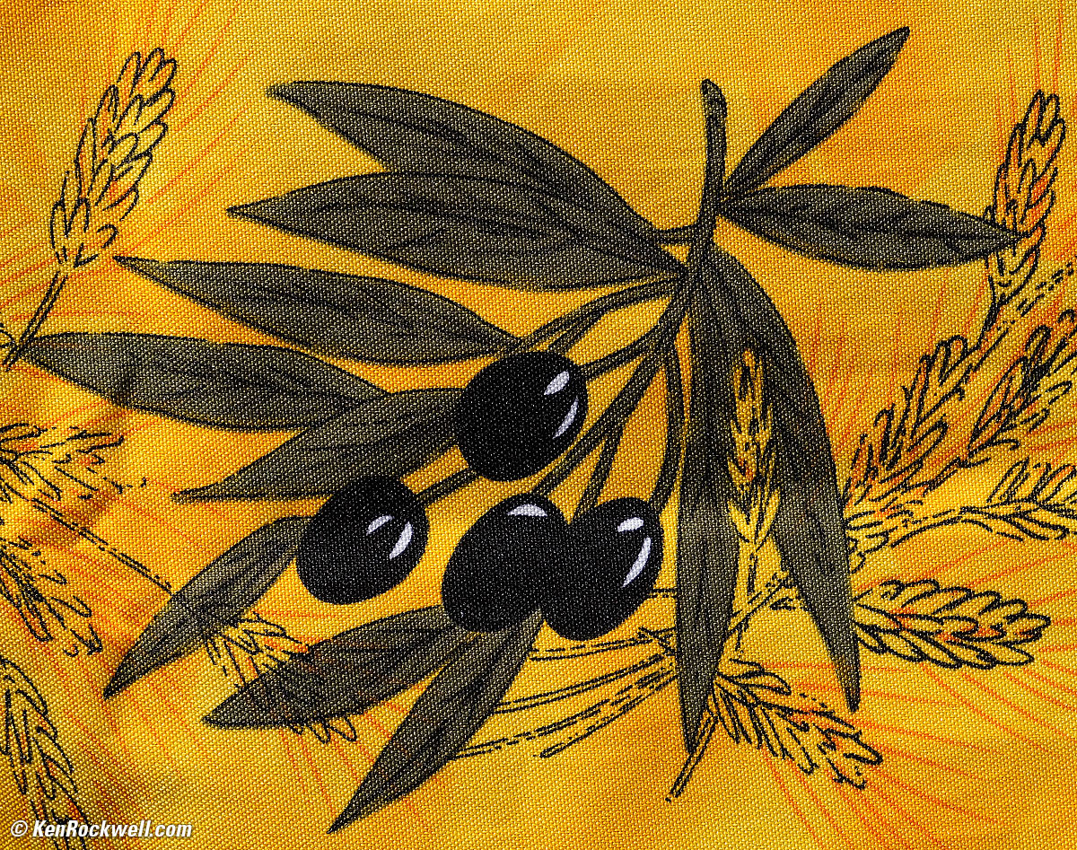 Friday night concert at the park