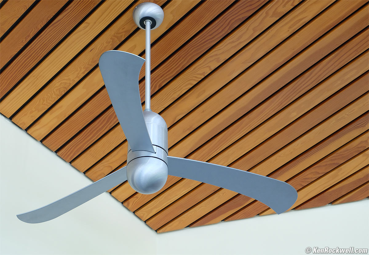 White Flight Ceiling Fan