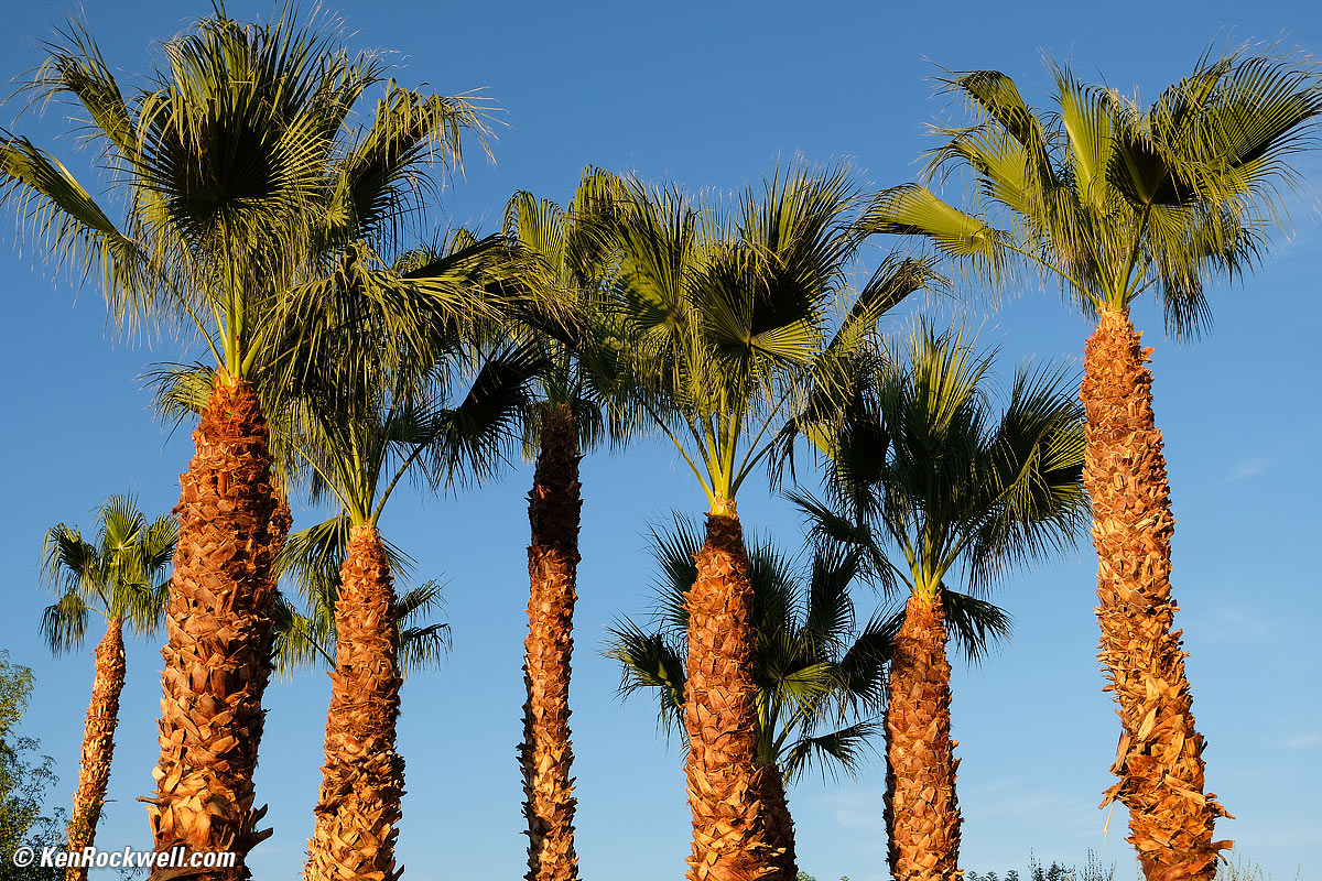 Seven Palms, California Desert