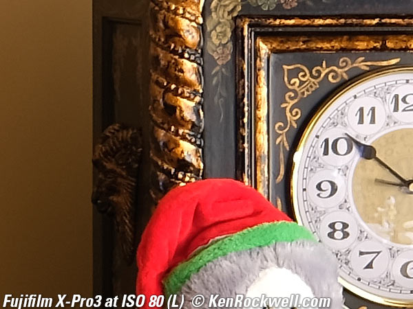 Fujifilm X-Pro3 High ISO Performance Sample Image