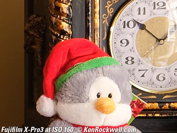 Fujifilm X-Pro3 High ISO Performance Sample Image