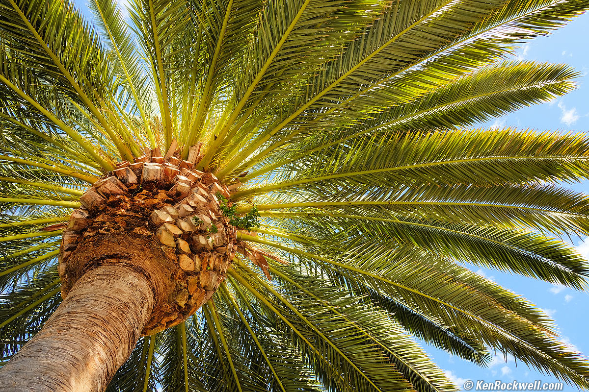 Fujifilm X-T20 Sample Image