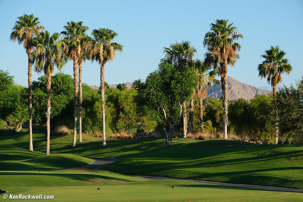 Fuji X-T4 Sample Image File