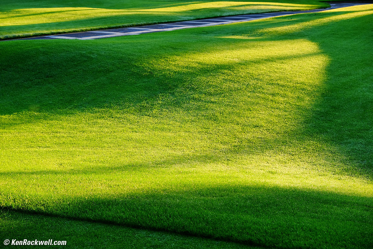 Dawn at the Golf Course