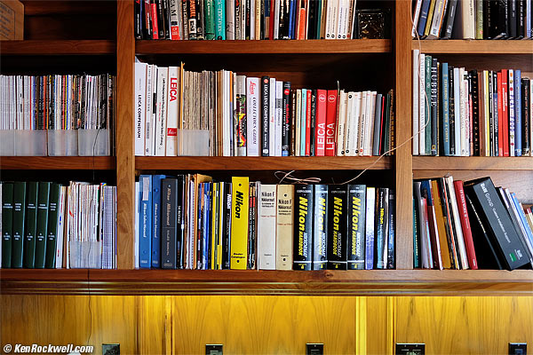 Palm, 28 August 2015 RP