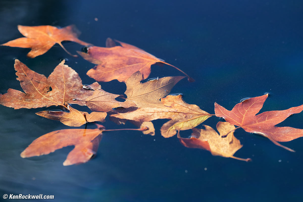 Fuji 200mm f/2 sample image